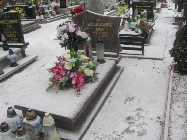 Grób Jerzy Wolkiewicz