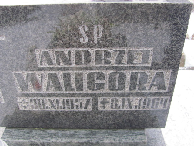 Andrzej Waligóra 1957 Wągrowiec klasztorny - Grobonet - Wyszukiwarka osób pochowanych